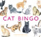 Cat Bingo by Marcel George, 9781780679037