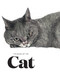 The Book of the Cat (Cats in Art) by Angus Hyland, Caroline Roberts, 9781786270719