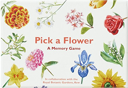 Pick a Flower (A Memory Game) by Marcel George, Anna Day, 9781786271457