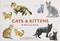 Cats & Kittens (A Memory Game) (Miniature Edition) by Marcel George, 9781786271549