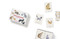 Cats & Kittens (A Memory Game) (Miniature Edition) by Marcel George, 9781786271549