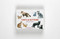 Cats & Kittens (A Memory Game) (Miniature Edition) by Marcel George, 9781786271549