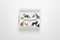 Cats & Kittens (A Memory Game) (Miniature Edition) by Marcel George, 9781786271549