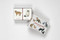 Cats & Kittens (A Memory Game) (Miniature Edition) by Marcel George, 9781786271549