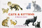 Cats & Kittens (A Memory Game) by Marcel George, 9781786271549