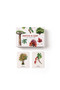 Match a Leaf (A Tree Memory Game) (Miniature Edition) by Tony Kirkham, Holly Exley, 9781786272287