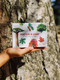 Match a Leaf (A Tree Memory Game) (Miniature Edition) by Tony Kirkham, Holly Exley, 9781786272287