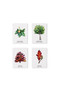 Match a Leaf (A Tree Memory Game) (Miniature Edition) by Tony Kirkham, Holly Exley, 9781786272287
