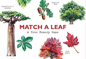 Match a Leaf (A Tree Memory Game) by Tony Kirkham, 826 Valencia, 9781786272287