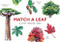 Match a Leaf (A Tree Memory Game) by Tony Kirkham, 826 Valencia, 9781786272287
