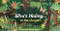 Who's Hiding in the Jungle? (A Spot and Match Game) by Caroline Selmes, 9781786276568