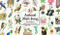 Animal Mah-jong by Ryuto Miyake, 9781786276971