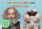 Do You Look Like Your Cat? (Match Cats with their Humans: A Memory Game) (Miniature Edition) by Gerrard Gethings, Debora Robertson, 9781786277039