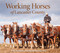 Working Horses of Lancaster County by Beth Oberholtzer, John Herr, 9780764361616