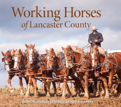 Working Horses of Lancaster County by Beth Oberholtzer, John Herr, 9780764361616
