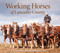 Working Horses of Lancaster County by Beth Oberholtzer, John Herr, 9780764361616