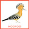 Bird Bingo by Christine Berrie, 9781856699174