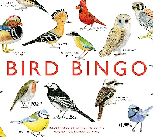 Bird Bingo by Christine Berrie, 9781856699174