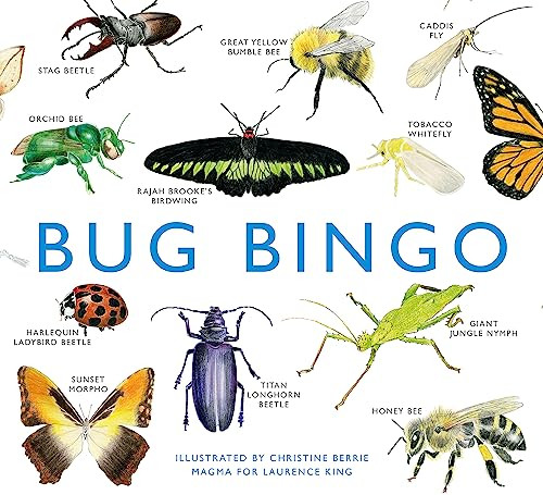 Bug Bingo by Christine Berrie, 9781856699402