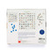 Dog Bingo by Polly Horner, 9781856699679