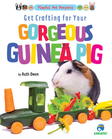 Get Crafting for Your Gorgeous Guinea Pig by Ruth Owen, 9781647476625