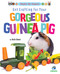 Get Crafting for Your Gorgeous Guinea Pig by Ruth Owen, 9781647476625