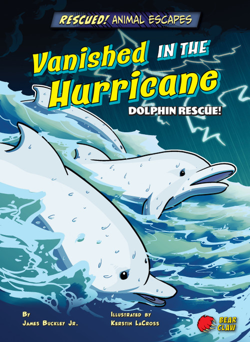 Vanished in the Hurricane (Dolphin Rescue!) - 9781647476274 by James Buckley Jr., Kerstin LaCross, 9781647476274
