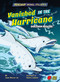 Vanished in the Hurricane (Dolphin Rescue!) - 9781647476274 by James Buckley Jr., Kerstin LaCross, 9781647476274