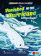 Vanished in the Hurricane (Dolphin Rescue!) - 9781647476274 by James Buckley Jr., Kerstin LaCross, 9781647476274