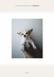 Takashi Homma: Tokyo (signed edition) by Takashi Homma, Ivan Vartanian, 9781683951681
