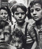 Elliott Erwitt: Home Around the World (signed edition) by Elliott Erwitt, Jessica S. McDonald, Stuart Alexander, Sean Corcoran, Steven Hoelscher, 9781683951858