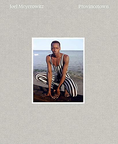 Joel Meyerowitz: Provincetown (signed edition) by Joel Meyerowitz, Joel Meyerowitz, Joel Meyerowitz, 9781683952114
