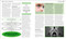 The Biology Book (Big Ideas Simply Explained) by DK, 9780744027389