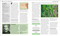 The Biology Book (Big Ideas Simply Explained) by DK, 9780744027389