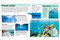 Pocket Genius Ocean by DK, 9780744033618