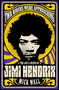 Two Riders Were Approaching: The Life & Death of Jimi Hendrix by Mick Wall, 9781409160311
