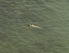 Richard Misrach: The Mysterious Opacity of Other Beings (signed edition) by Richard Misrach, Richard Misrach, Richard Misrach, 9781683950219