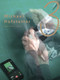 Michael Hofstetter (VOL 3 / 2011 - 2019) by Michael Hofstetter, 9783868332643
