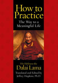 How to Practice (The Way to a Meaningful Life) by His Holiness the Dalai Lama, Jeffrey Hopkins, Jeffrey Hopkins, 9780743453363