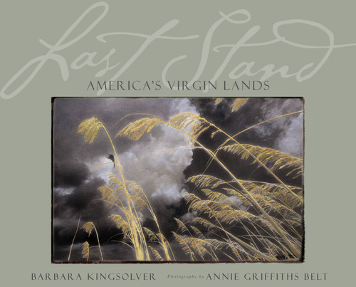 Last Stand (America's Virgin Lands) by Annie Griffiths, Barbara Kingsolver, 9780792269090