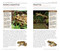 National Geographic Pocket Guide to Reptiles and Amphibians of North America by Catherine H. Howell, 9781426214769