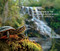 National Geographic Pocket Guide to Reptiles and Amphibians of North America by Catherine H. Howell, 9781426214769