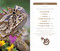 National Geographic Pocket Guide to Reptiles and Amphibians of North America by Catherine H. Howell, 9781426214769