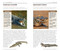 National Geographic Pocket Guide to Reptiles and Amphibians of North America by Catherine H. Howell, 9781426214769