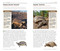 National Geographic Pocket Guide to Reptiles and Amphibians of North America by Catherine H. Howell, 9781426214769