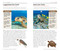 National Geographic Pocket Guide to Reptiles and Amphibians of North America by Catherine H. Howell, 9781426214769
