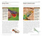 National Geographic Pocket Guide to Reptiles and Amphibians of North America by Catherine H. Howell, 9781426214769