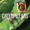 Face to Face with Caterpillars by Darlyne A. Murawski, Darlyne A. Murawski, 9781426300523