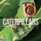 Face to Face with Caterpillars by Darlyne A. Murawski, 9781426300523