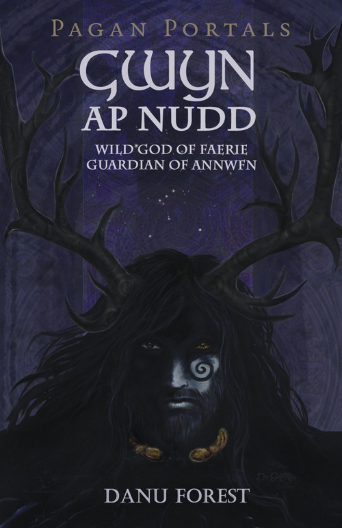 Pagan Portals - Gwyn ap Nudd (Wild God of Faery, Guardian of Annwfn) by Danu Forest, 9781785356292